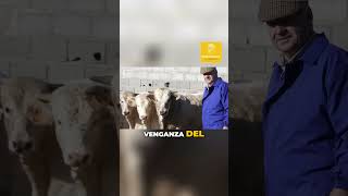 La venganza del campo shorts españa ideologia sabiasque campoespañol DespoblaciónRural Crisis [upl. by Alded]