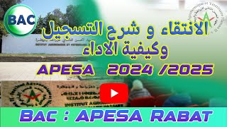 كيفية وطريقة التسجيل وعتبات الانتقاء APESA Rabat 2024 [upl. by Jazmin87]