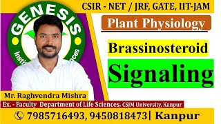 Brassinosteroid Signaling  Plant Physiology  CSIR NETJRF  Life science  GATE DBT [upl. by Paviour]