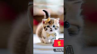 cute cats animation 🐈🐈Shorts [upl. by Nye]