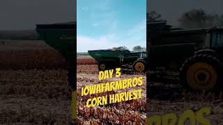 Day 3 iowafarmbros corn harvest corn youtubeshorts farming [upl. by Jamieson]