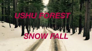 ushuforest sawatvalley enjoylife 🌨️🌨️🌨️🏂🏂❄️ [upl. by Eelyrag]