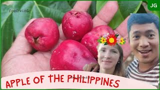 Oh Lala Macopa  Apple of the Philippines waterApple [upl. by Bore207]