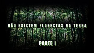 NÃO EXISTE FLORESTAS NA TERRA PARTE 1 [upl. by Dominic259]