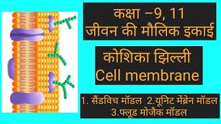 कोशिका झिल्ली lCell Membrane l Fluid Mosaic Model Sandwitch Model by Ajeet Sir myvillagemyacademy [upl. by Mills]