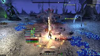 ESO  Magicka Warden PvE  100k DPS [upl. by Yetac3]