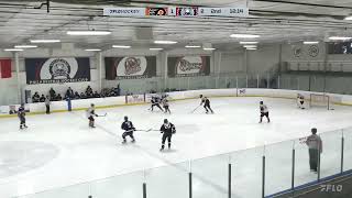 Little Flyers EHL vs Philadelphia Hockey Club EHL on 1192024 [upl. by Deys277]