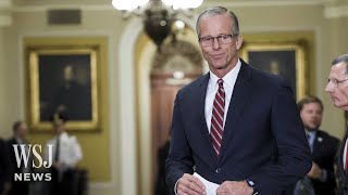 Senate Republicans Pick John Thune as New Majority Leader  WSJ News [upl. by Nessa]