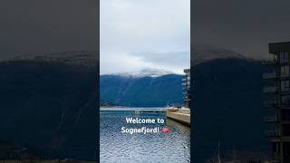 Norway’s deepest and longest fjord 🇳🇴 travel fjord norway shorts reaction roadtrip work [upl. by Eux216]