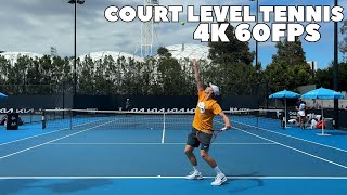 Denis Shapovalov Court Level Practice 2024  Groundstrokes amp Serves 4K 60FPS [upl. by Kironde]