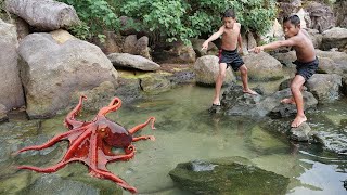 Wilderness Food  Found Octopus at the Beach [upl. by Sweatt]