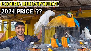 Birds Parrots PRICE  2024 Upcoming PRICE of Exoitic Parrots [upl. by Huei]