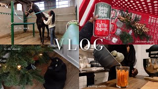 vlog  Christmas decor homemade pickled carrots morning at the ranch medical grade skincare [upl. by Aicssej]