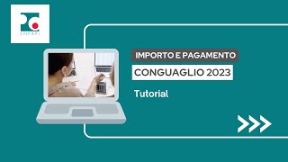 Conguaglio anno 2023  tutorial [upl. by Pelmas]