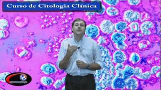 CURSO DE CITOLOGIA CLÍNICA [upl. by Itirp]