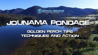 Jounama Pondage  Golden Perch Tips Techniques and Action [upl. by Nnaynaffit145]