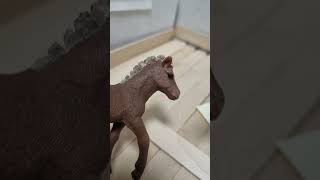 begabt hochbegabt schleich horse horses viral shortsvideo funny schleichhorse deutsch [upl. by Dannica]