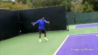 Bernard Tomic Slow Motion Forehands in HD [upl. by Tik]