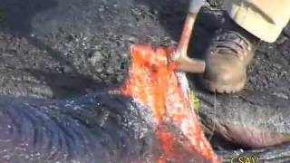 CSAV Hawaii Sampling Molten Lava UH Hilo Geology Department [upl. by Neeliak]