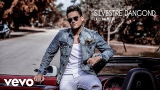 Silvestre Dangond  La Llamadita Audio [upl. by Irvine42]