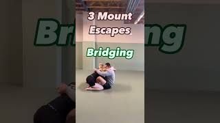 Top 3 Mount Escapes [upl. by Hadrian556]