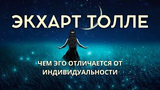 Чем эго отличается от индивидуальности  ЭКХАРТ ТОЛЛЕ NikOsho [upl. by Enyt982]