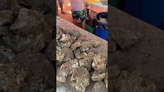 Ostiones de piedra en Mazatlán [upl. by Metabel]