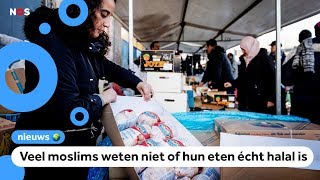 Er moet meer duidelijkheid komen over halalkeurmerken [upl. by Ojimmas]