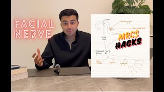 Facial Nerve  The 7th Cranial Nerve VII  MRCS Hacks [upl. by Lange]