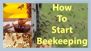 Beekeeping How To Start Beekeeping In 2025 [upl. by Nnayllehs112]