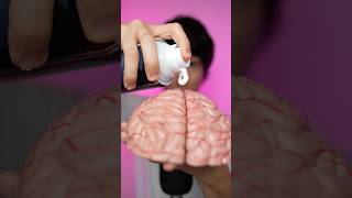 scrubbing your 🧠 asmr [upl. by Odranoel178]