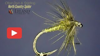 Dive into the Legacy The Olive Dun and Starling North Country Spider [upl. by Imnubulo]