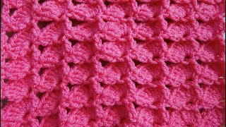 Fan Crochet Stitch  Right Handed Crochet Stitch Tutorial [upl. by Mcallister284]