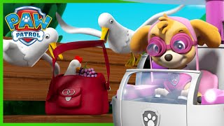 PAW Patrol save Chickaletta and more rescues  PAW Patrol Episode  Cartoons for Kids Compilation [upl. by Georglana]