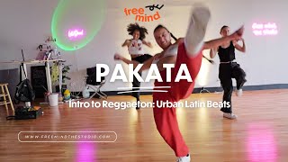 DARELL EL ALFA  PAKATA  Intro to Reggaeton Desi Rosa Choreography [upl. by Frankel]