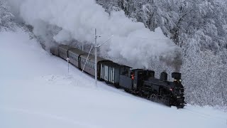 Züge in Winterbach mit viel schnee am 261123 [upl. by Blake]