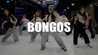 Cardi B  Bongos  Kayah Choreography Beginner Class [upl. by Aramit937]