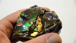 Ammolite Gemstone Fossil Beautiful [upl. by Eva]