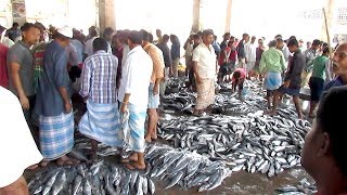 কক্সবাজার কাঁচা মাছের সবচেয়ে বড় বাজার  Coxs Bazar Fishery Ghat Wholesale Fish Market [upl. by Hada633]