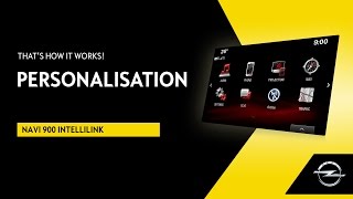 Navi 900 IntelliLink  Personalisation  Thats How It Works [upl. by Llenrub672]