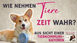 Wie nehmen Tiere Zeit wahr Podcast 147 [upl. by Lein131]