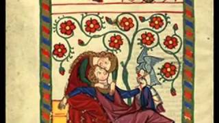 Napoli Aragonese  Hora may che fora son Canzona alla napoletana  Codex Manesse [upl. by Luhe]