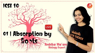 Absorption by Roots  Absorption of Minerals and Osmosis ICSE Class 10th Biology  Vedantu Class 10 [upl. by Rhiamon]