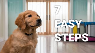 7 Easy Steps to Potty Train Your Puppy ✨️ [upl. by Eimmat]