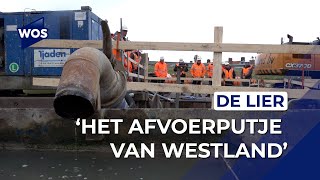 Maatregelen tegen wateroverlast in De Lier [upl. by Roque768]