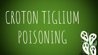 ToxicologyCroton Tiglium Vegetable Poisoning MADE EASY [upl. by Fairley446]