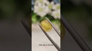 Yellow Sapphire 66 403 Carat [upl. by Nemraciram]