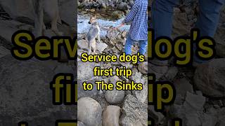 Service dogs first trip to The Sinks 😃 [upl. by Tennos]