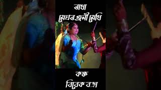 মেঘৰঞ্জনী মেধি ৰাধা  শ্ৰী শ্ৰী কৃষ্ণৰ ৰাসলীলা MeghranjaniMedhiRakh BibekBoraRakh cultureofassam [upl. by Humpage]