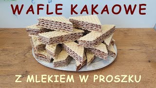 Wafle kakaowe z mlekiem w proszku  agatabodkuchni [upl. by Tomlinson293]